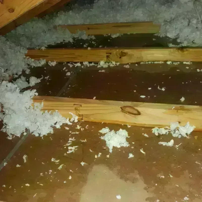 Attic Water Damage in DeKalb County, GA