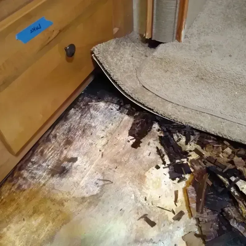 Wood Floor Water Damage in DeKalb County, GA